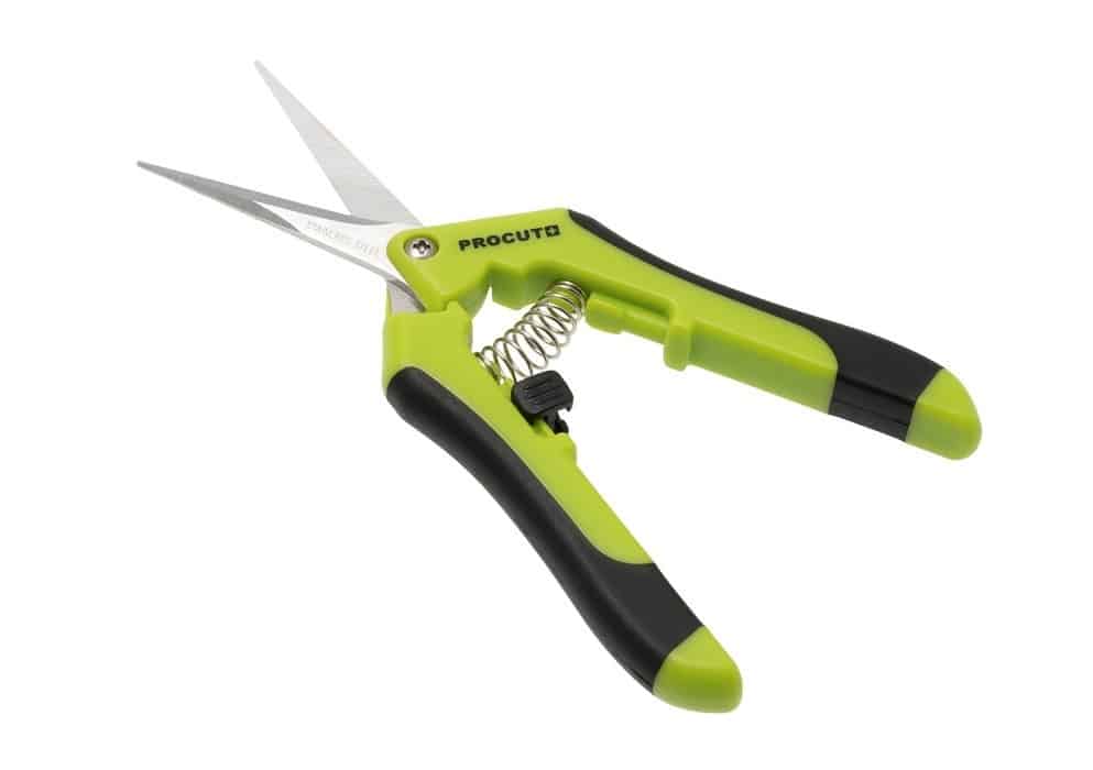 Procut Straight – GROW FOLK