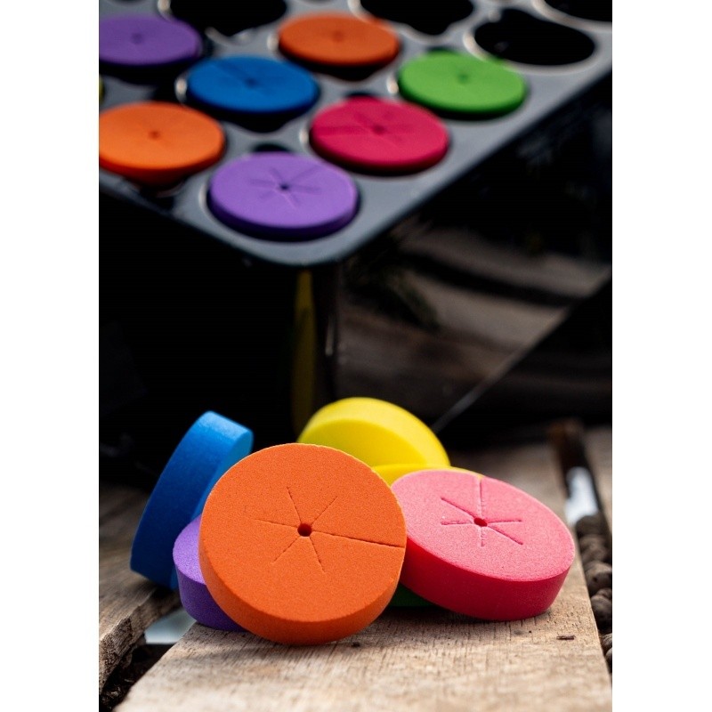 neoprene clone collars