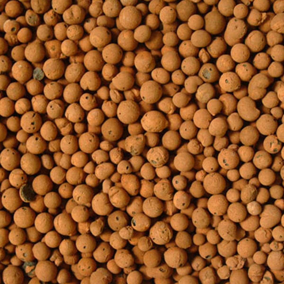 Leca Expanded Clay Pellets (10mm20mm) 50L GROW FOLK