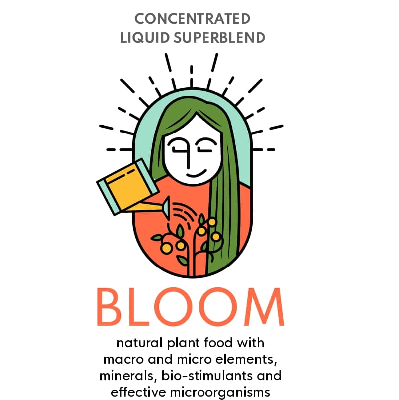 bloom-natural-plant-food-grow-folk