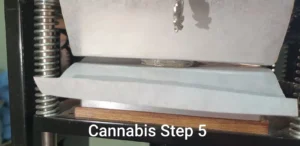 cannabis rosin press instruction step 5