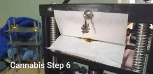 cannabis rosin press instruction step 6