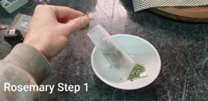 rosemary oil press essential oil step 1