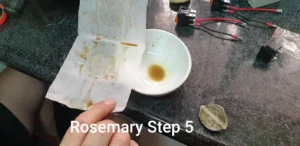 rosemary oil press essential oil step 5