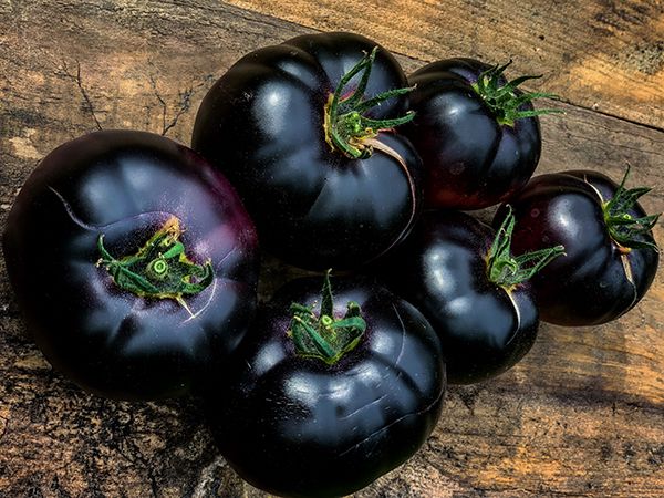 Tomato - Black Beauty - Heirloom Seeds &#8211; GROW FOLK