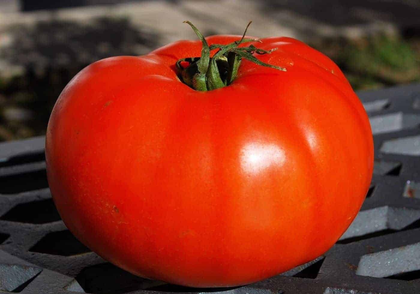 Tomato Red Beefsteak Heirloom Seeds GROW FOLK