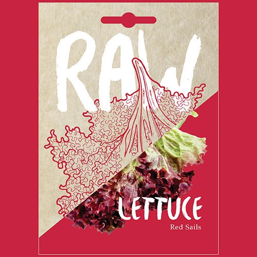 Lettuce Red Sails GROW FOLK