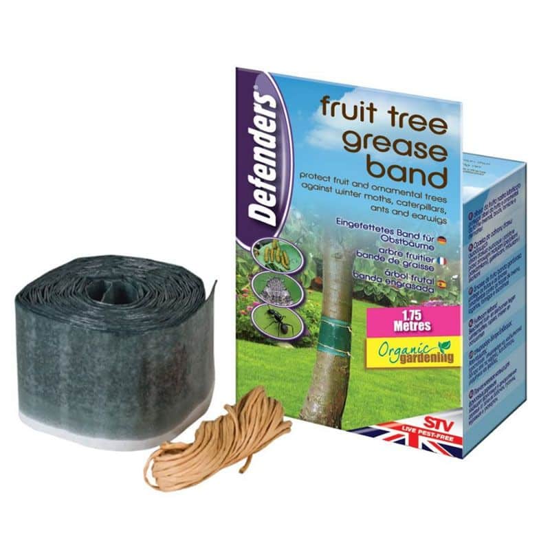 Fruit Tree Grease Band 1.75m GROW FOLK
