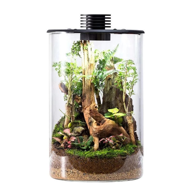 Terrarium Glass Bio Cylinder 9.4L with LED Light GROW FOLK